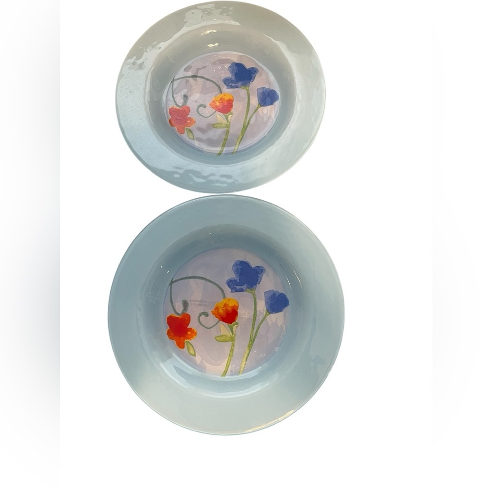 NWT set of 2 from Dibbern made in Germany, hand painted floral 8” glass plates